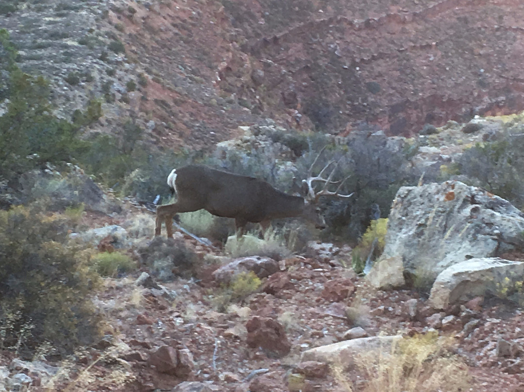 Hermit Trail-大峡谷国家公园必去景点