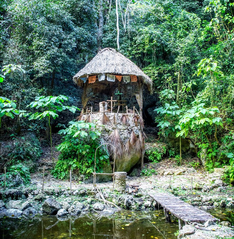 VIP Jungle Tours-阿范特拉斯港必去景点