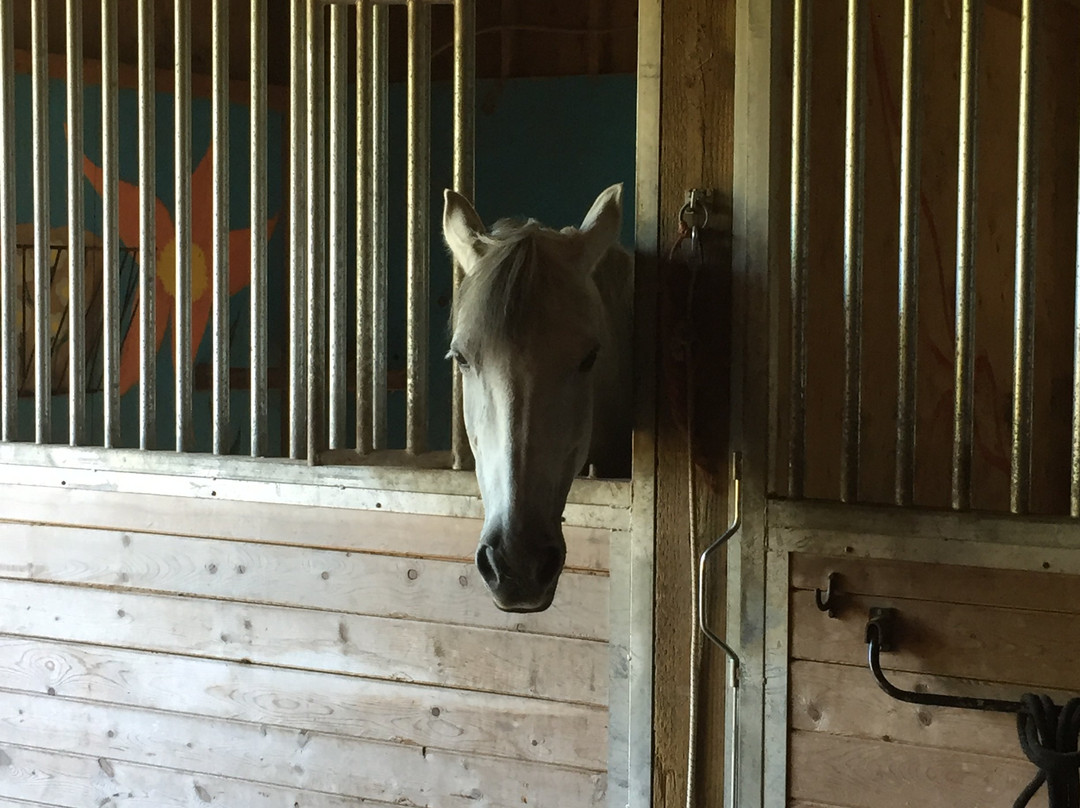 Brightwood旅游景点-Corbett Farm