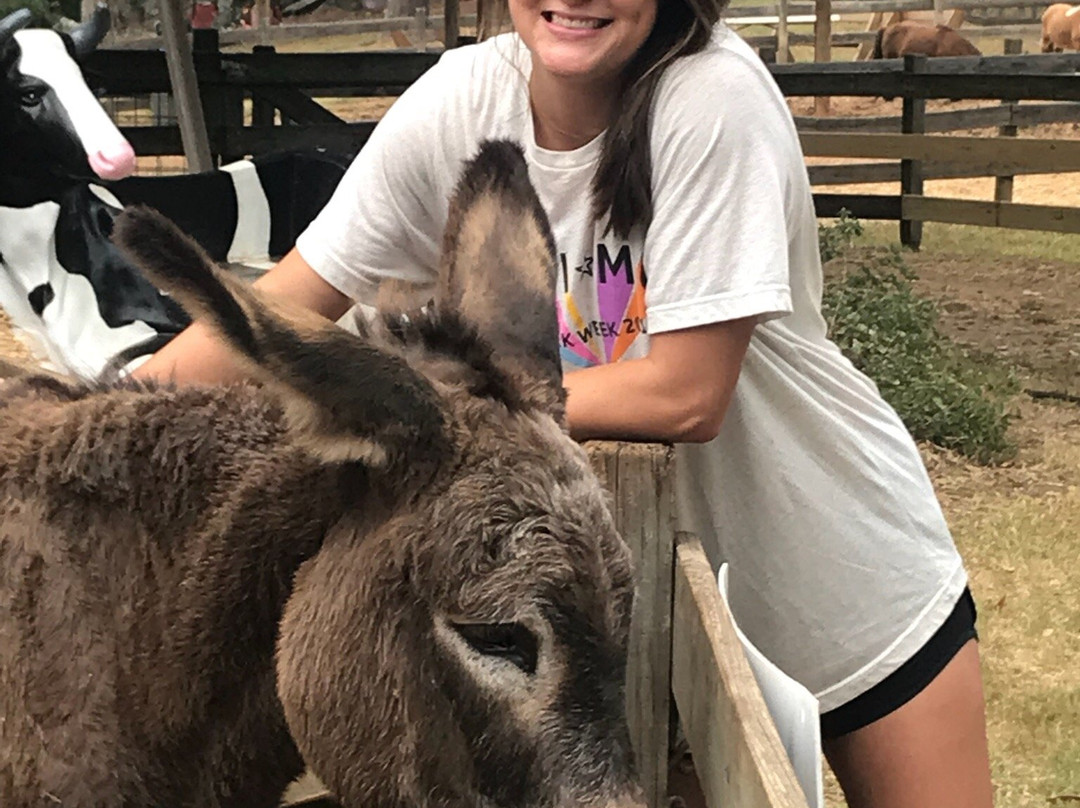The Rock Ranch-The Rock必去景点