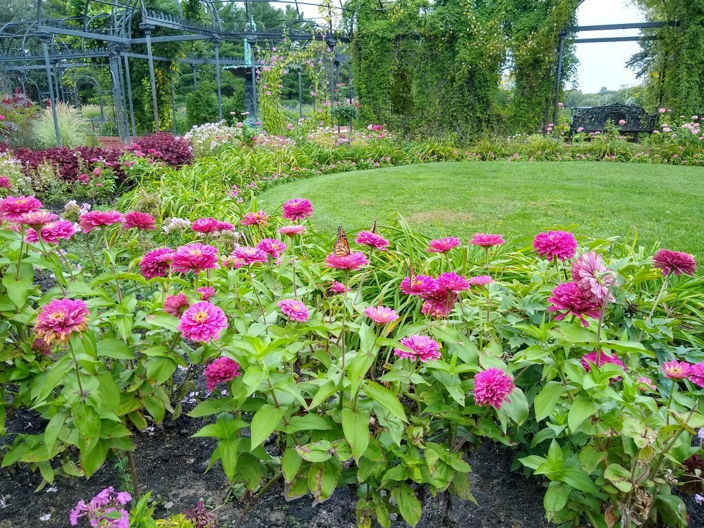 明尼苏达旅游景点-Munsinger Gardens