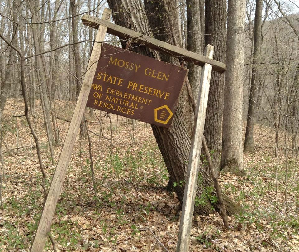 Mossy Glen state preserve-Edgewood必去景点