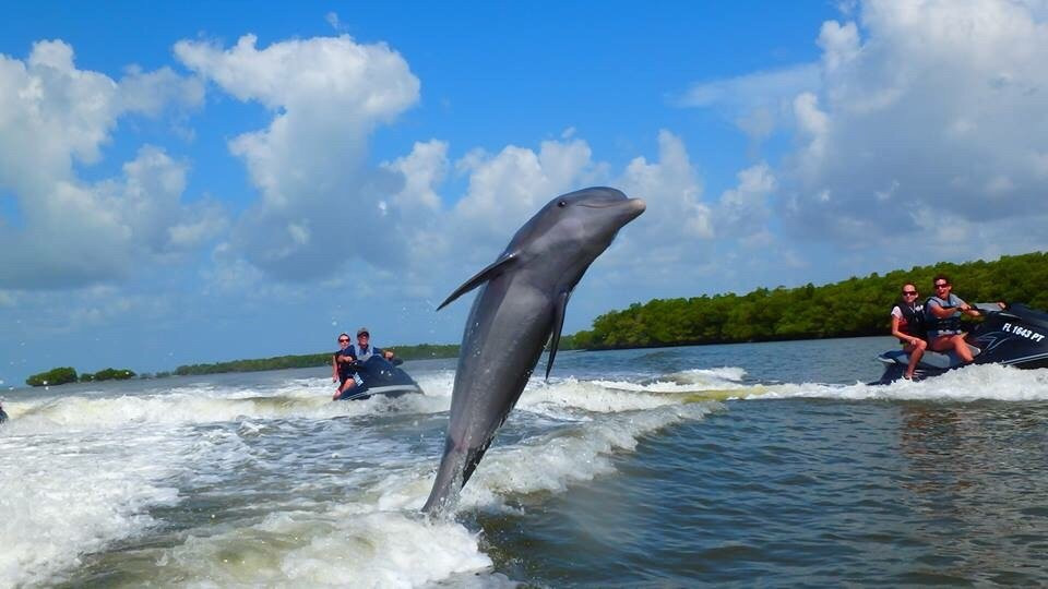 Capt. Ron's Awesome Everglades Adventures-马可岛必去景点