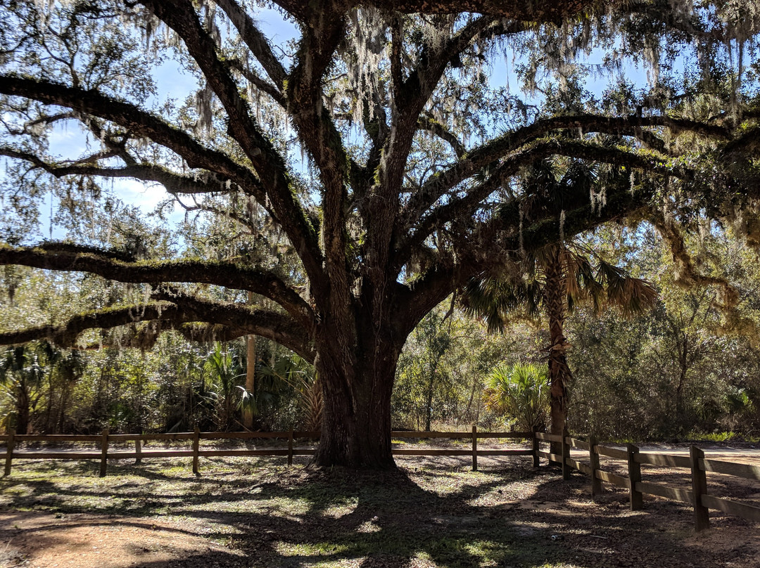 Bunnell旅游景点-Moody Homestead Park