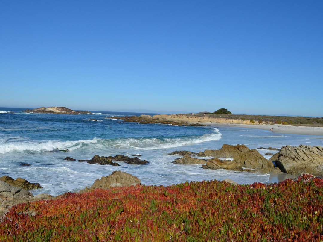 Pebble Beach Equestrian Center-圆石滩必去景点