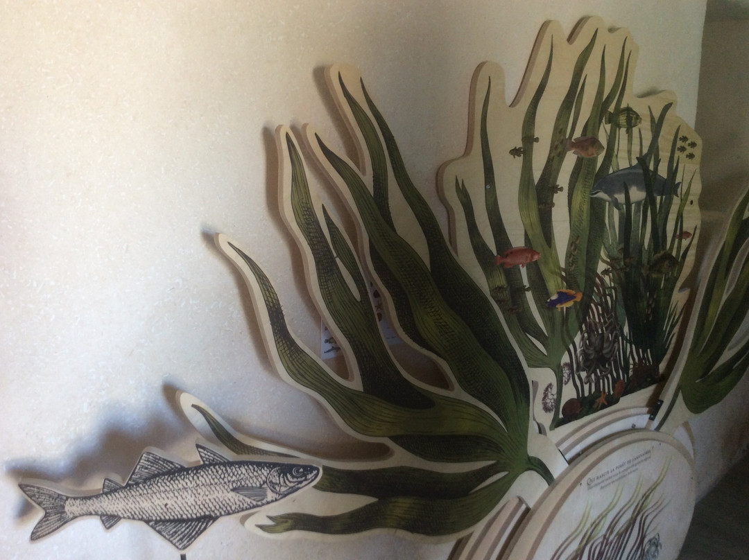 Maison de l'environnement insulaire-Ile Molene必去景点