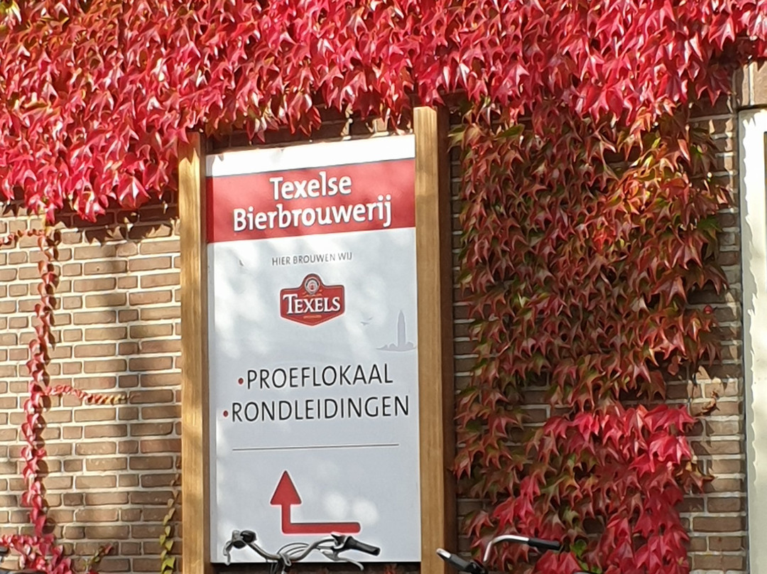 Texel Brewery景点图片