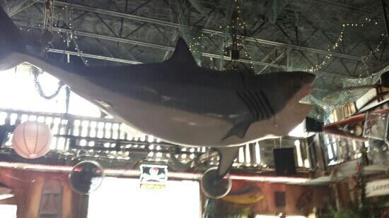 Moby Dick's Souvenir Shop-阿兰瑟斯港必去景点