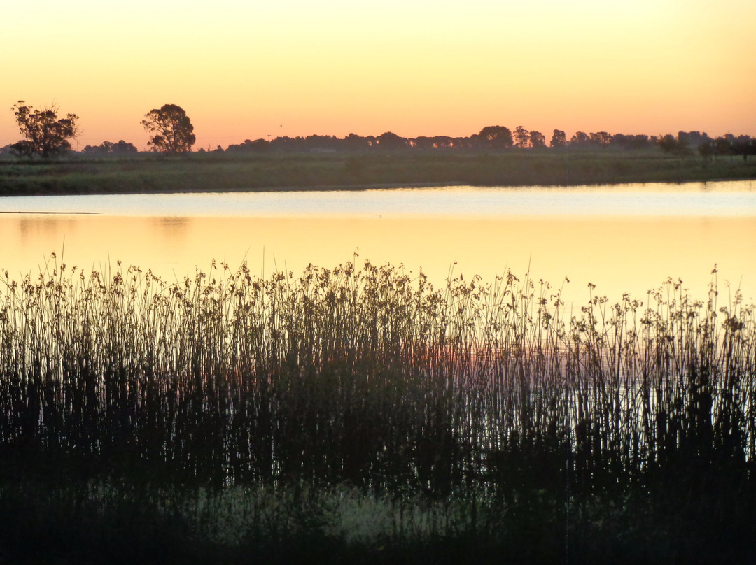 Eduardo Castex旅游景点-Laguna La Arocena