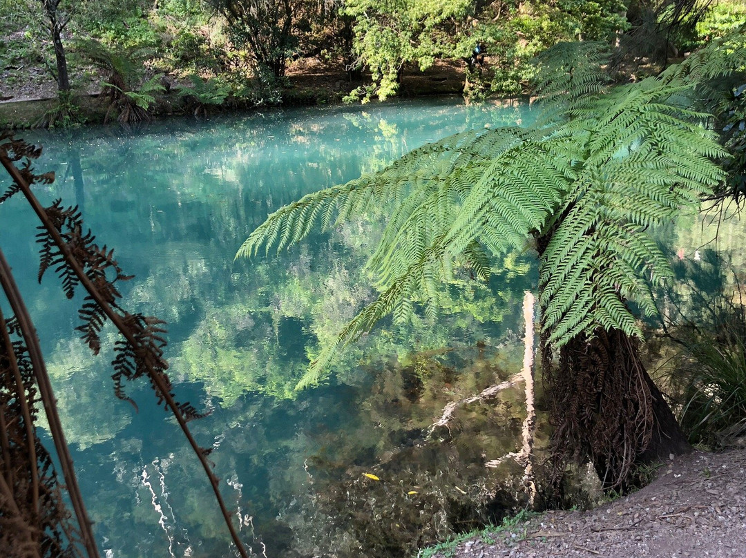 Blue Lake-珍罗兰山洞必去景点