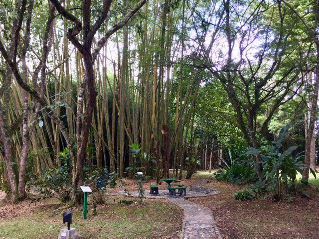 Museo Arqueologico Calima