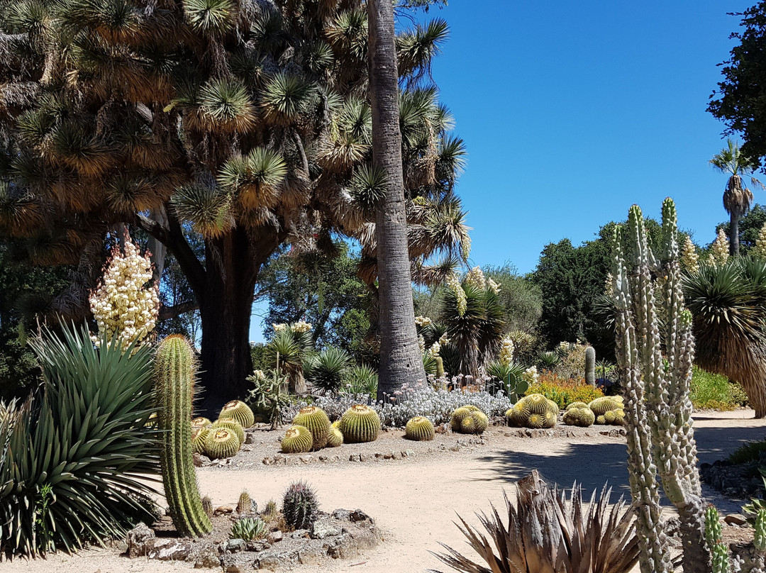 Arizona Garden-帕罗奥多必去景点