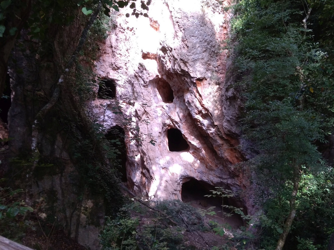 Parco Naturale di Montioni景点图片