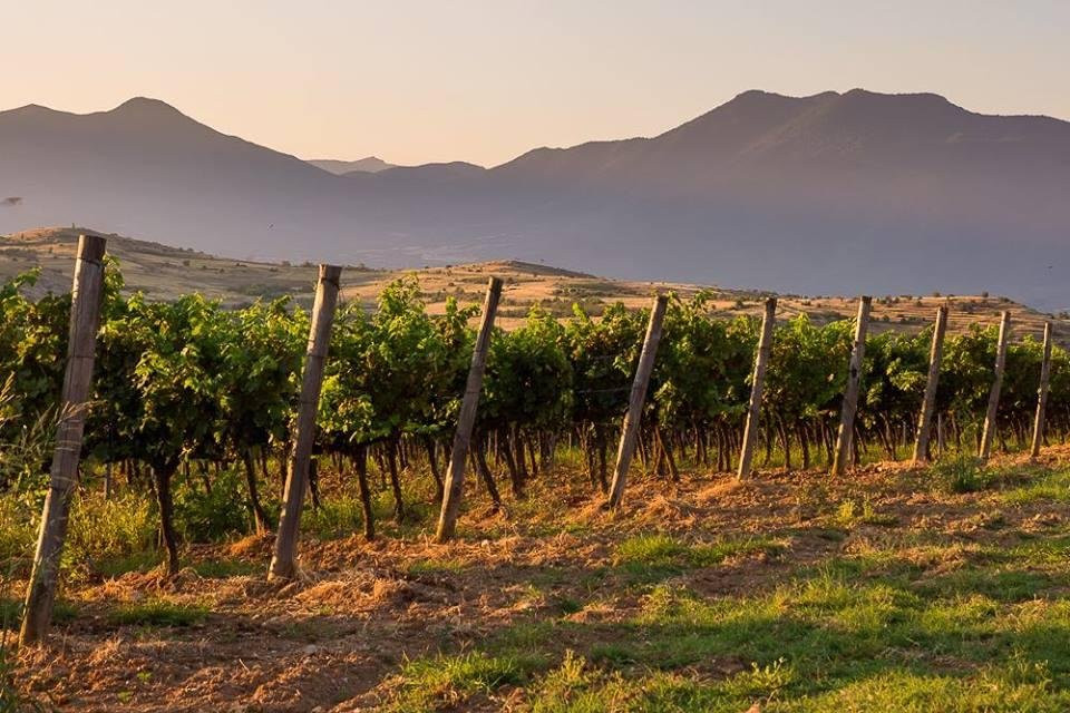 Wine Tours Rupel-梅尔尼克必去景点