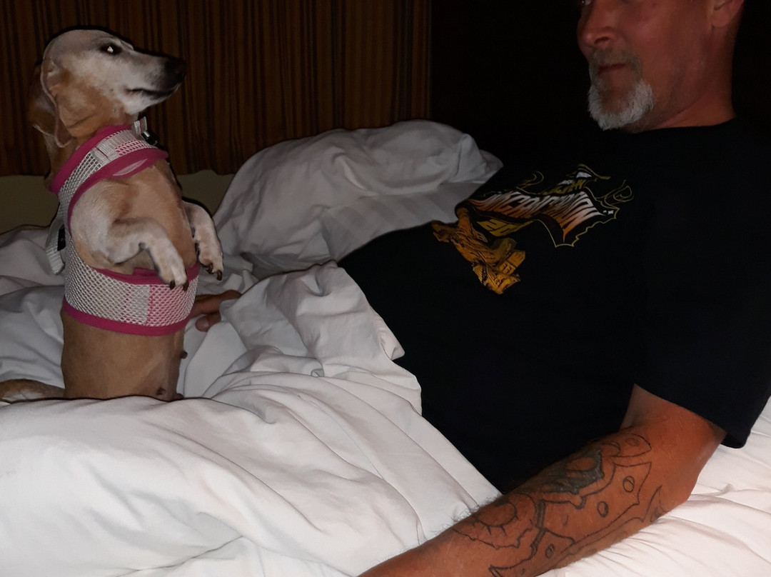 Baymont by Wyndham Cedar City主图