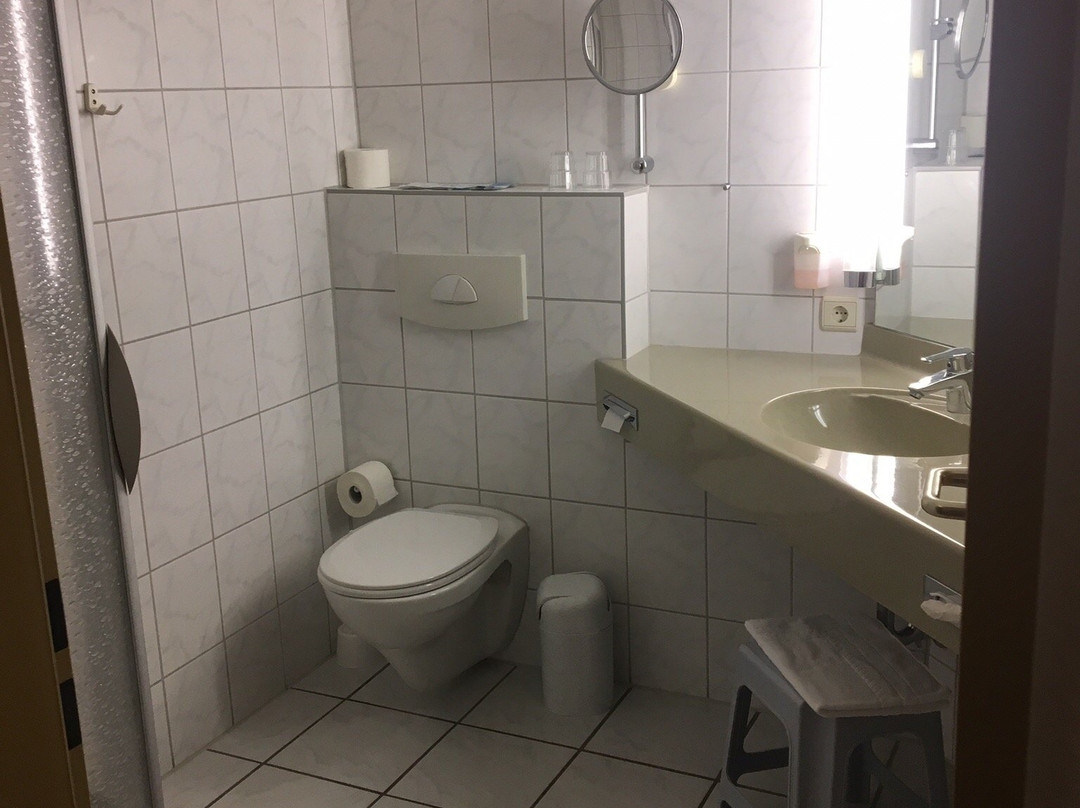 Hotel Rosenheim主图