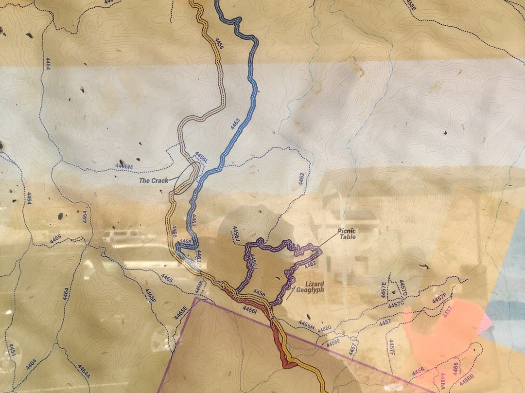 Sara Park-哈瓦苏湖城必去景点