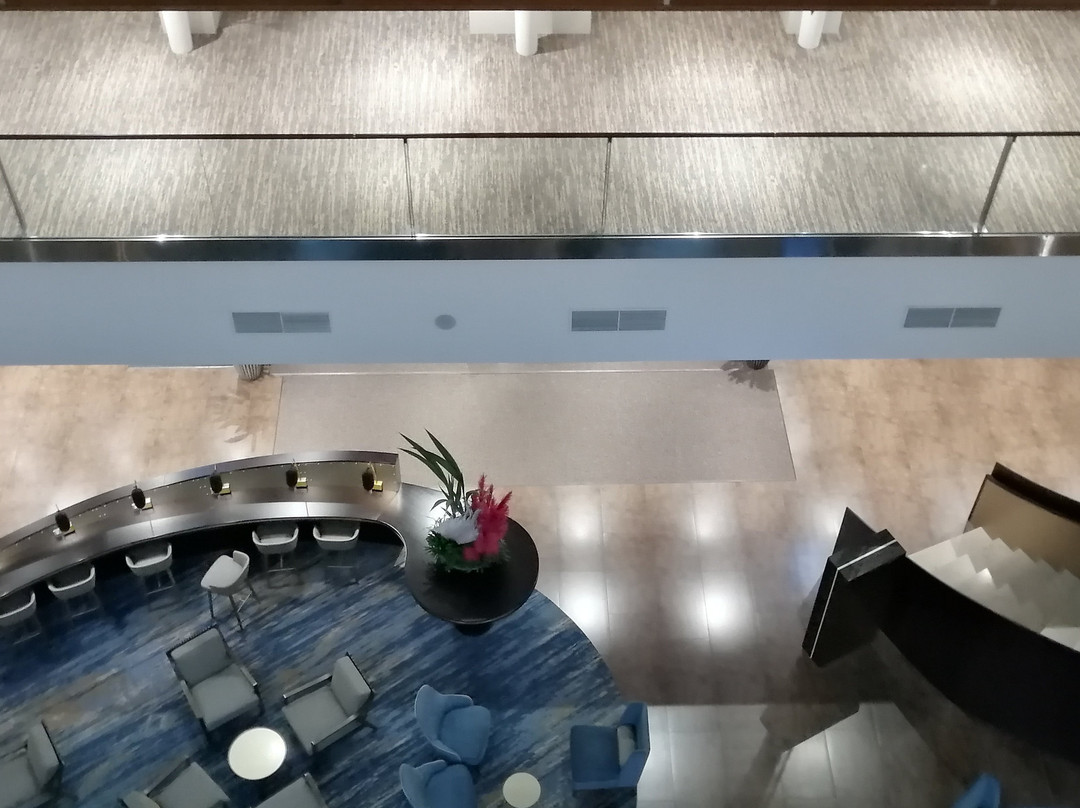 DoubleTree By Hilton Moscow - Vnukovo Airport主图
