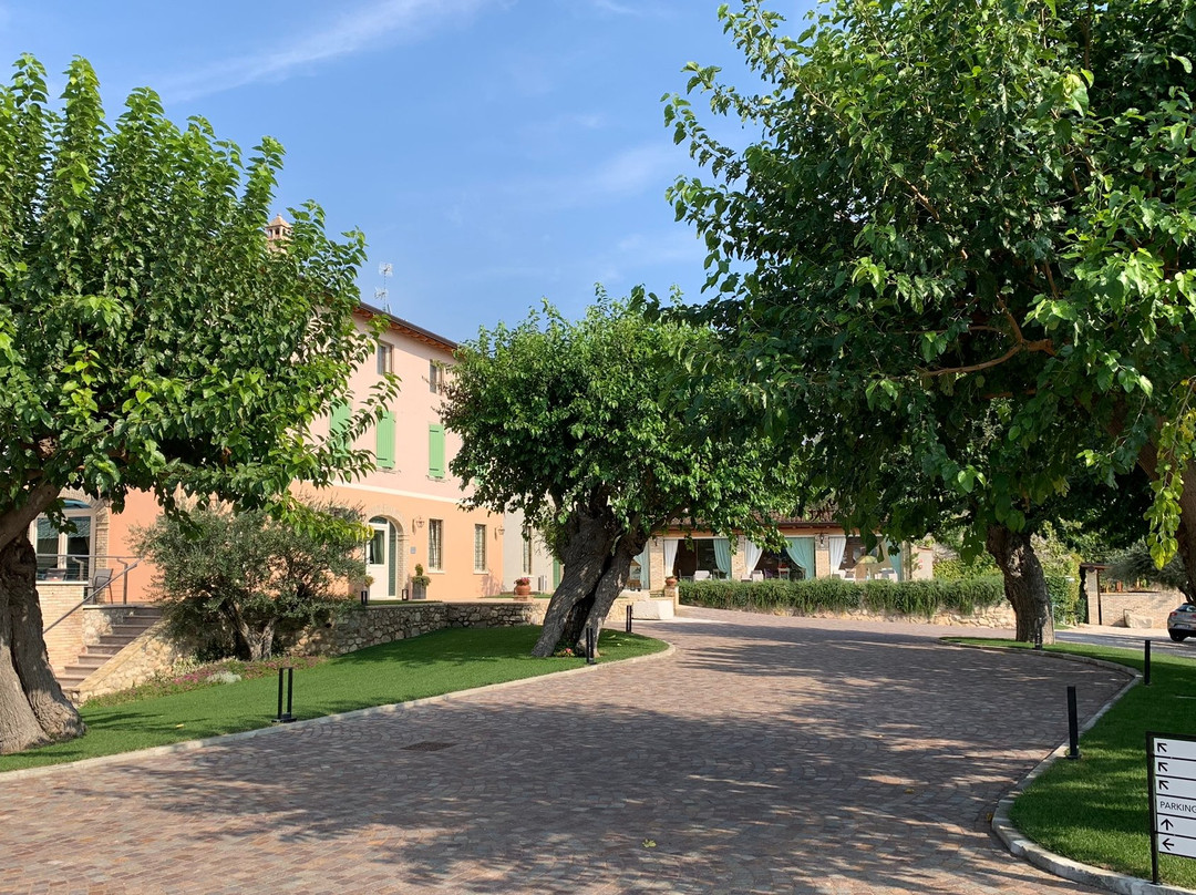 Agriturismo Relais Casina Ricchi主图