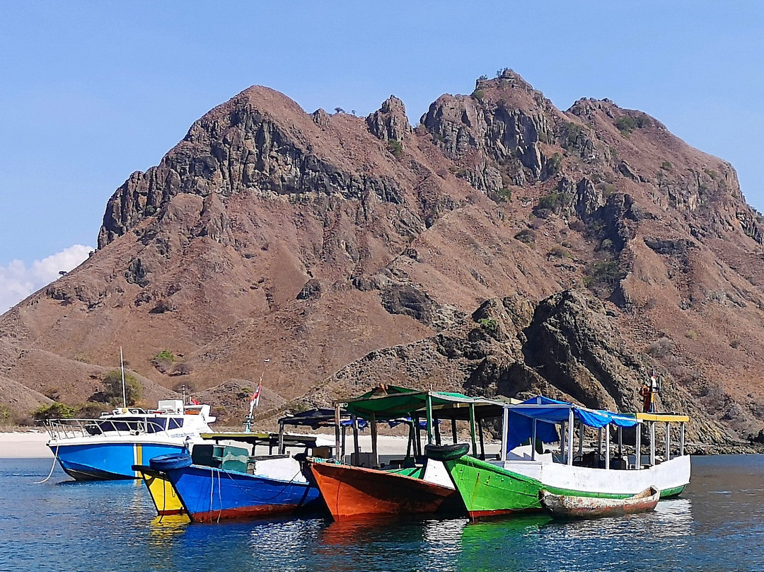 Komodo Island-科莫多国家公园必去景点