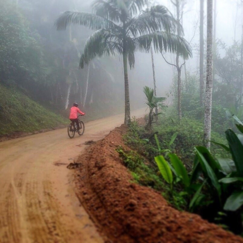 Rota Cicloturismo-Blumenau必去景点