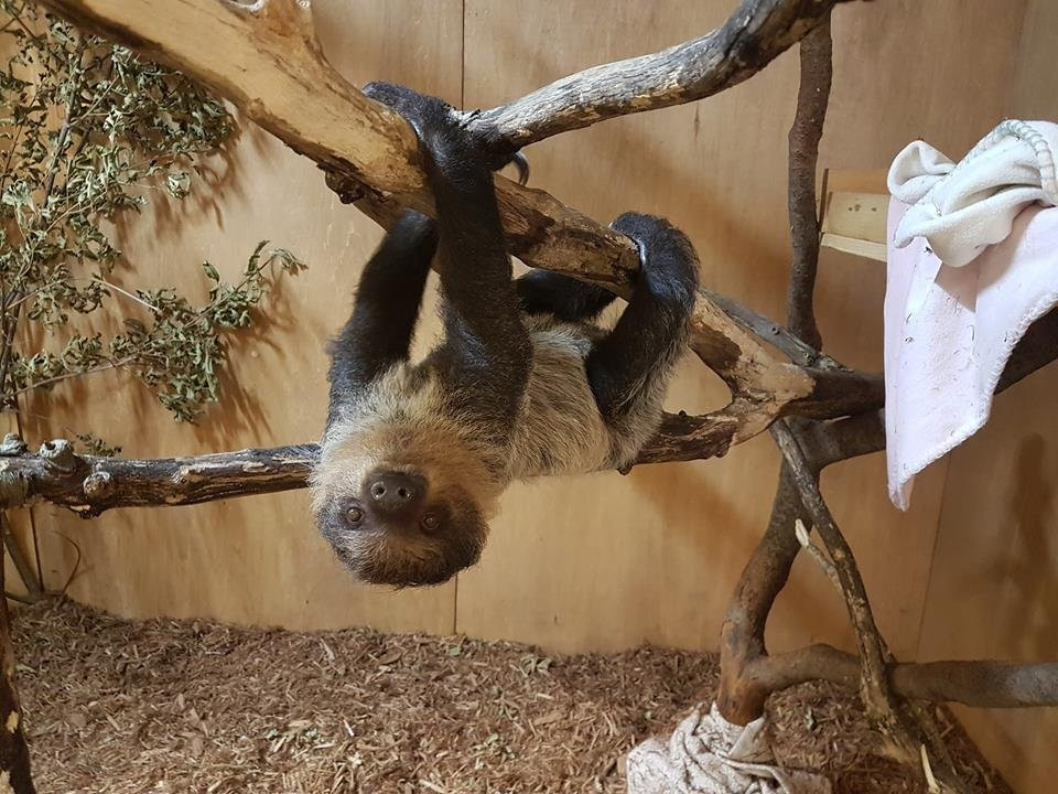 Little Rays Nature Centre-汉密尔顿必去景点