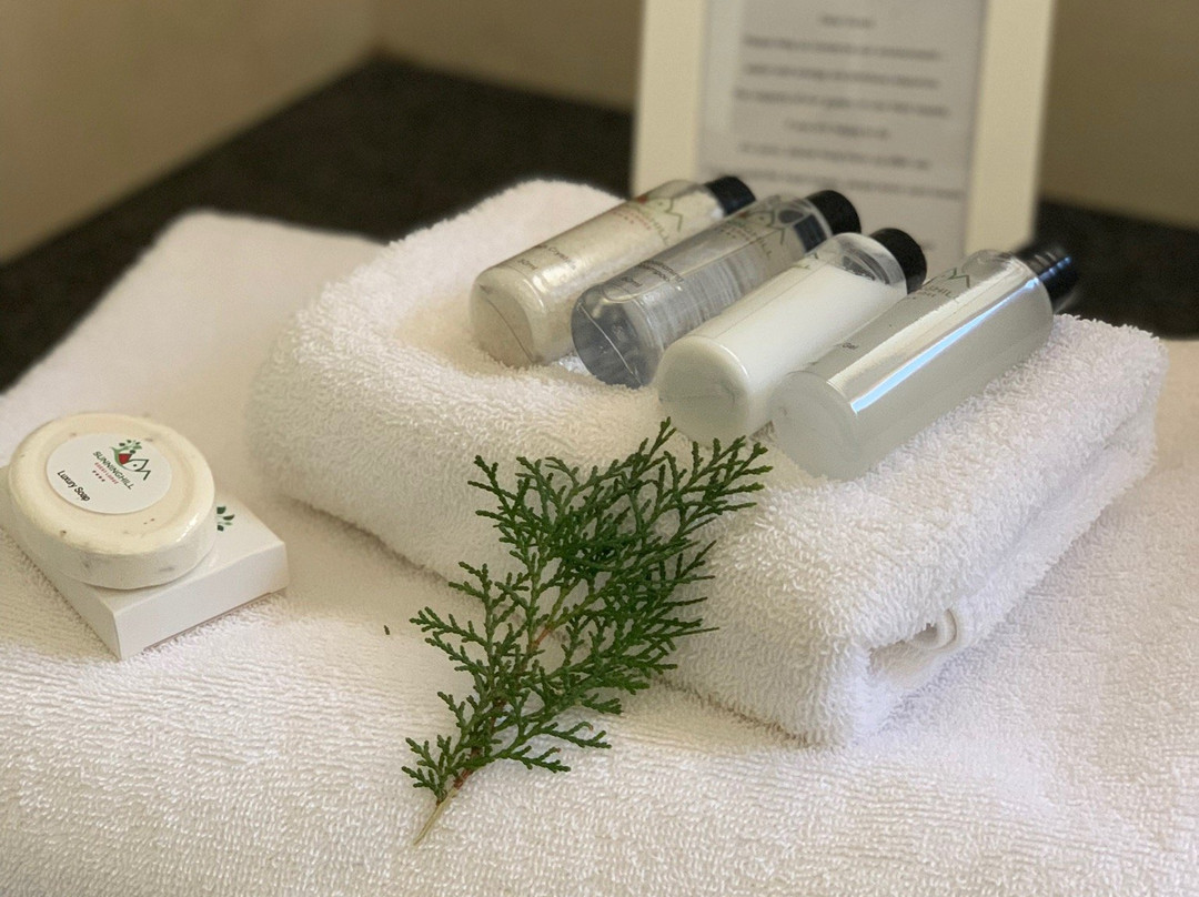 Sunninghill Guest Lodge主图