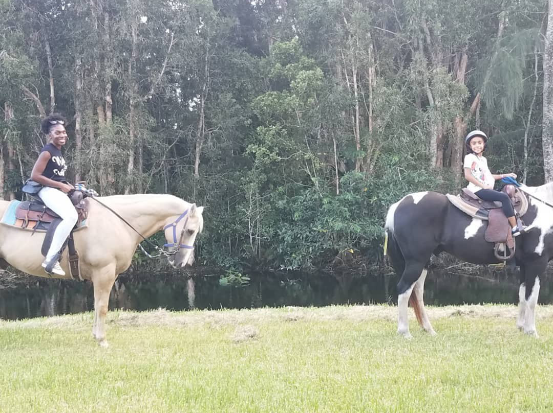 Happy Pony World-Southwest Ranches必去景点