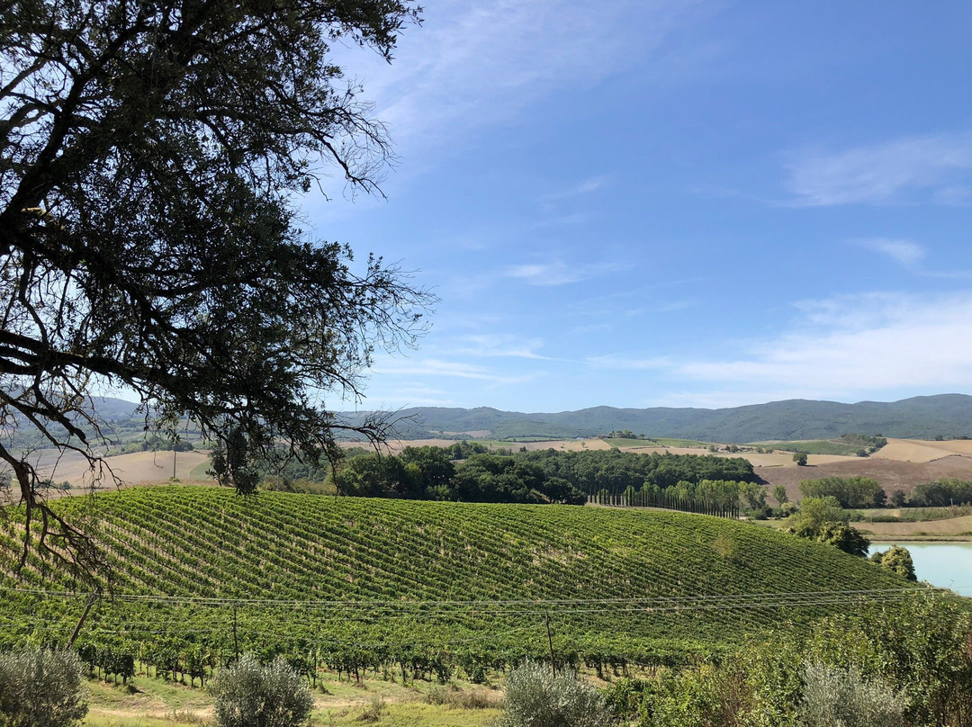 Tuscany Private Tour-卡斯特利纳－因基安蒂必去景点