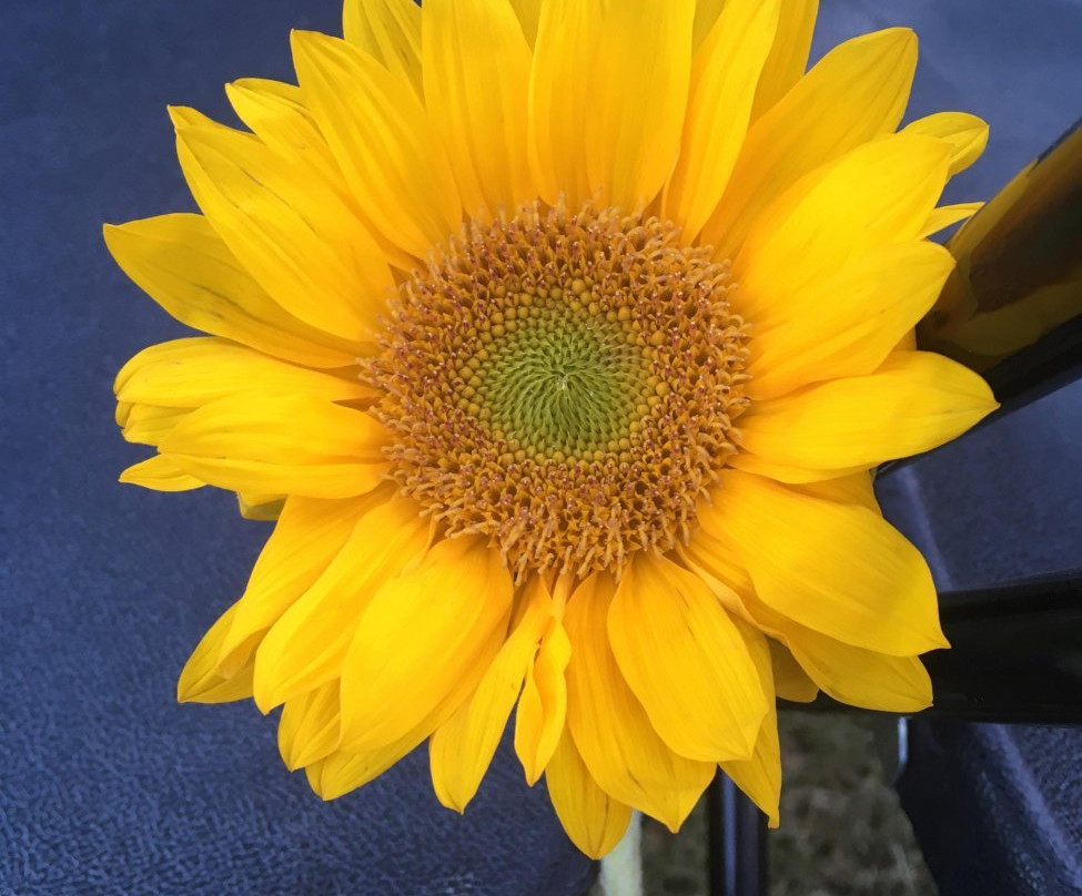 Rock Chuck-Schurz必去景点