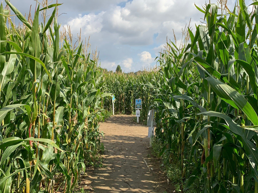 Stanhill Farm Kent-Wilmington必去景点