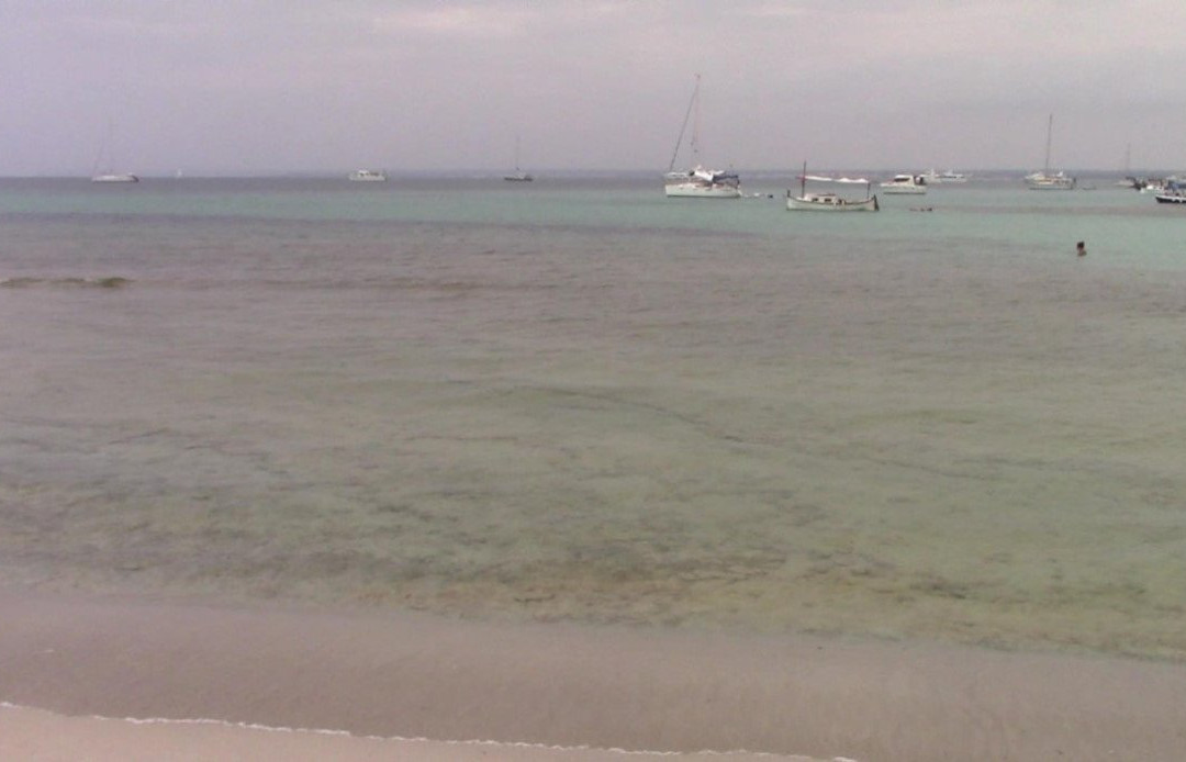 Platja Es Peregons-Campos必去景点