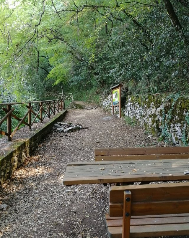 Area Faunistica del Cervo di Viggianello景点图片