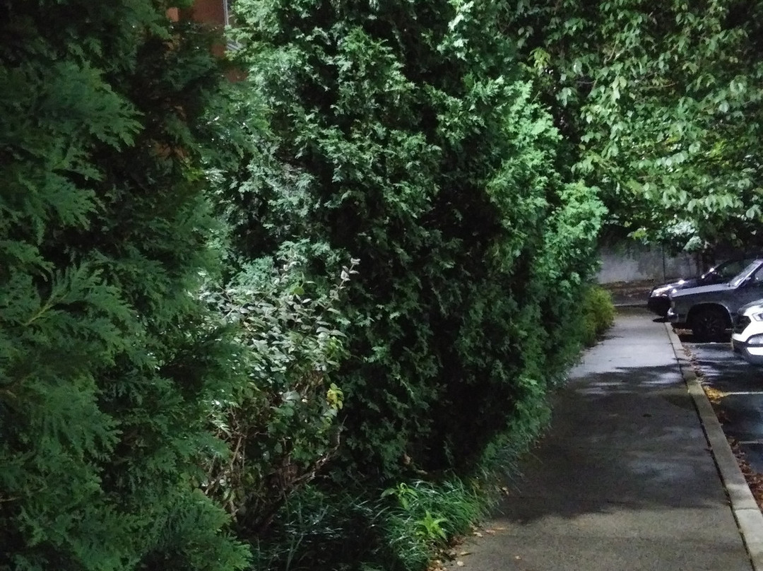 Extended Stay America - Shelton - Fairfield County主图