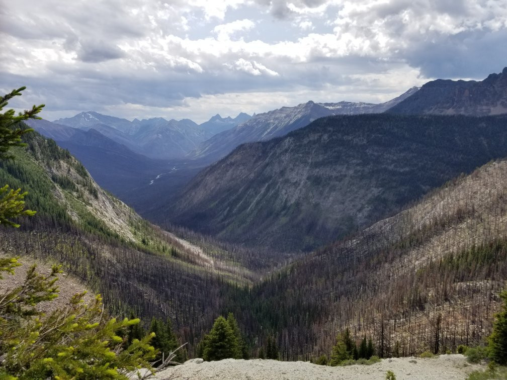 Banff Sunshine Meadows-班夫必去景点