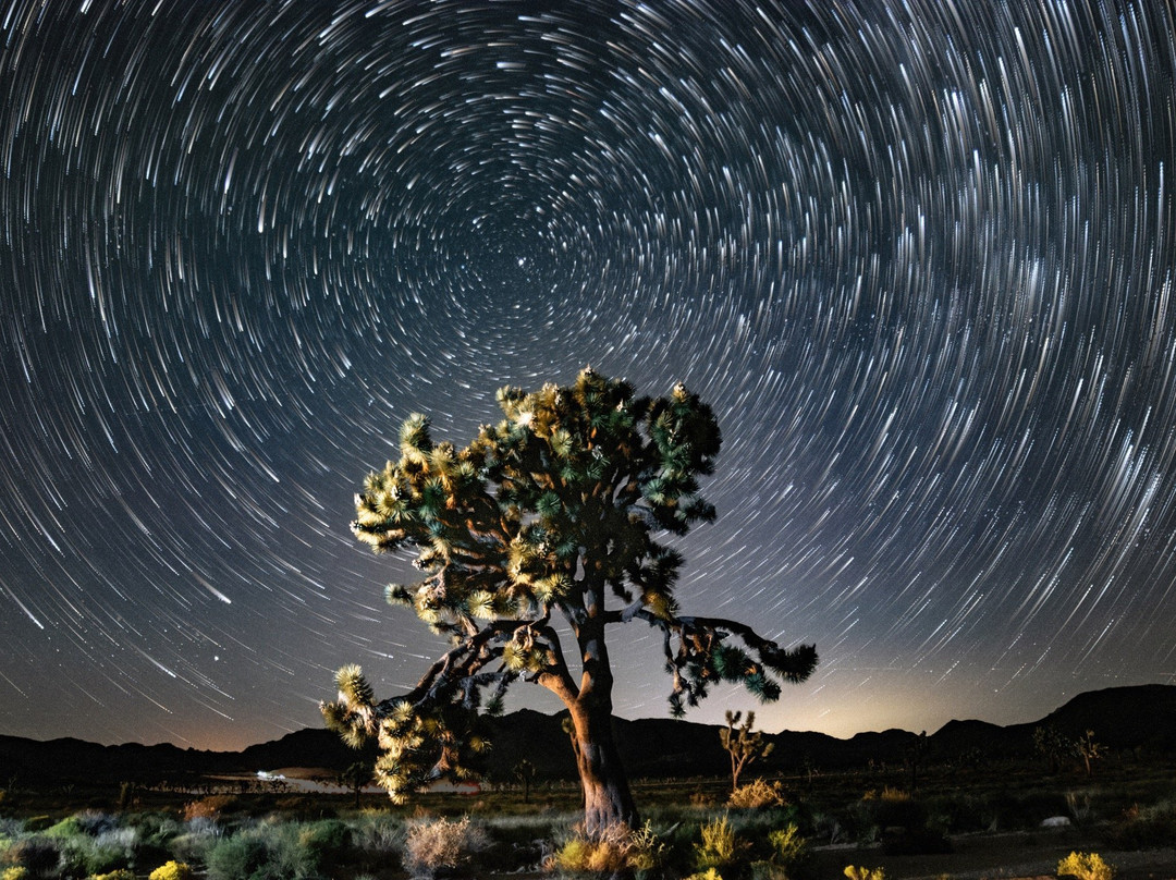 Joshua Tree Workshops-约书亚树国家公园必去景点