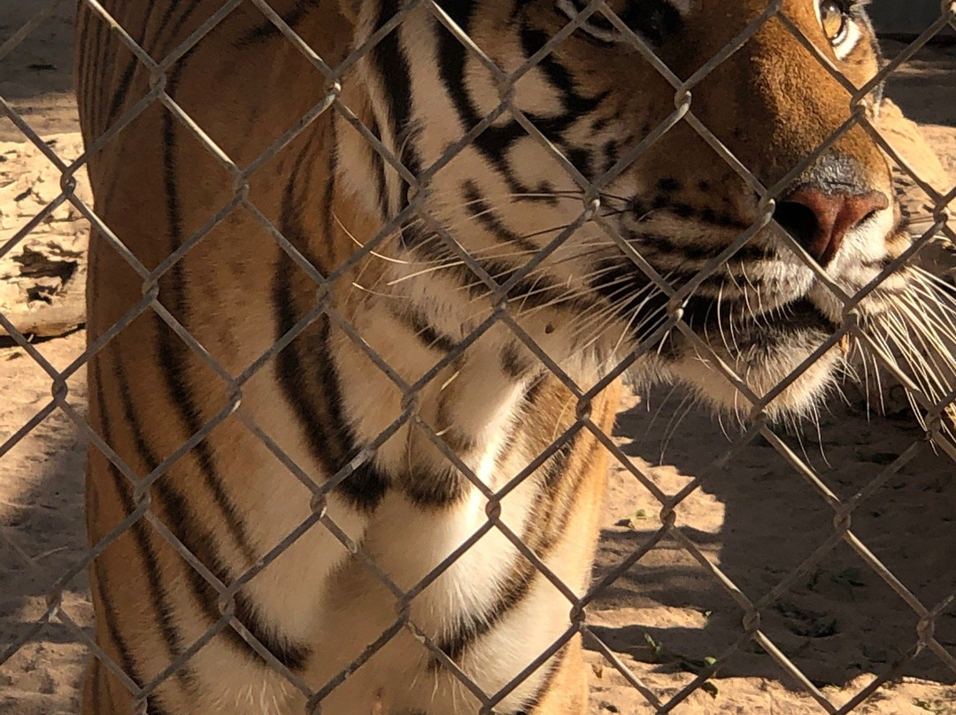 Hesperia Zoo-希斯皮里亚必去景点