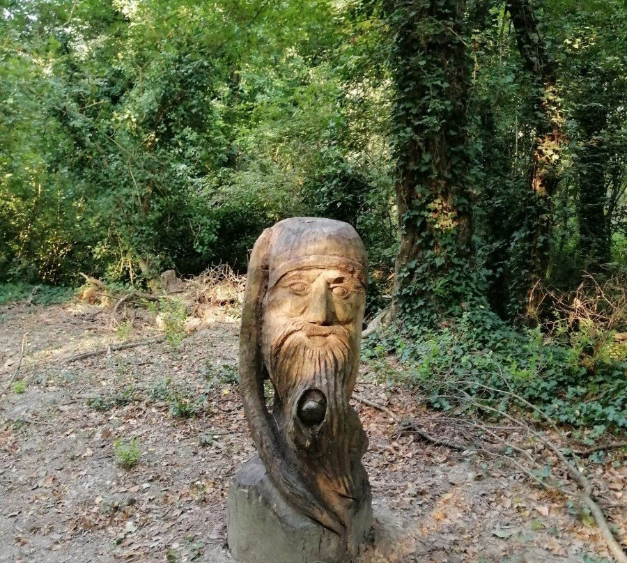 Riserva Naturale Isola Boschina景点图片