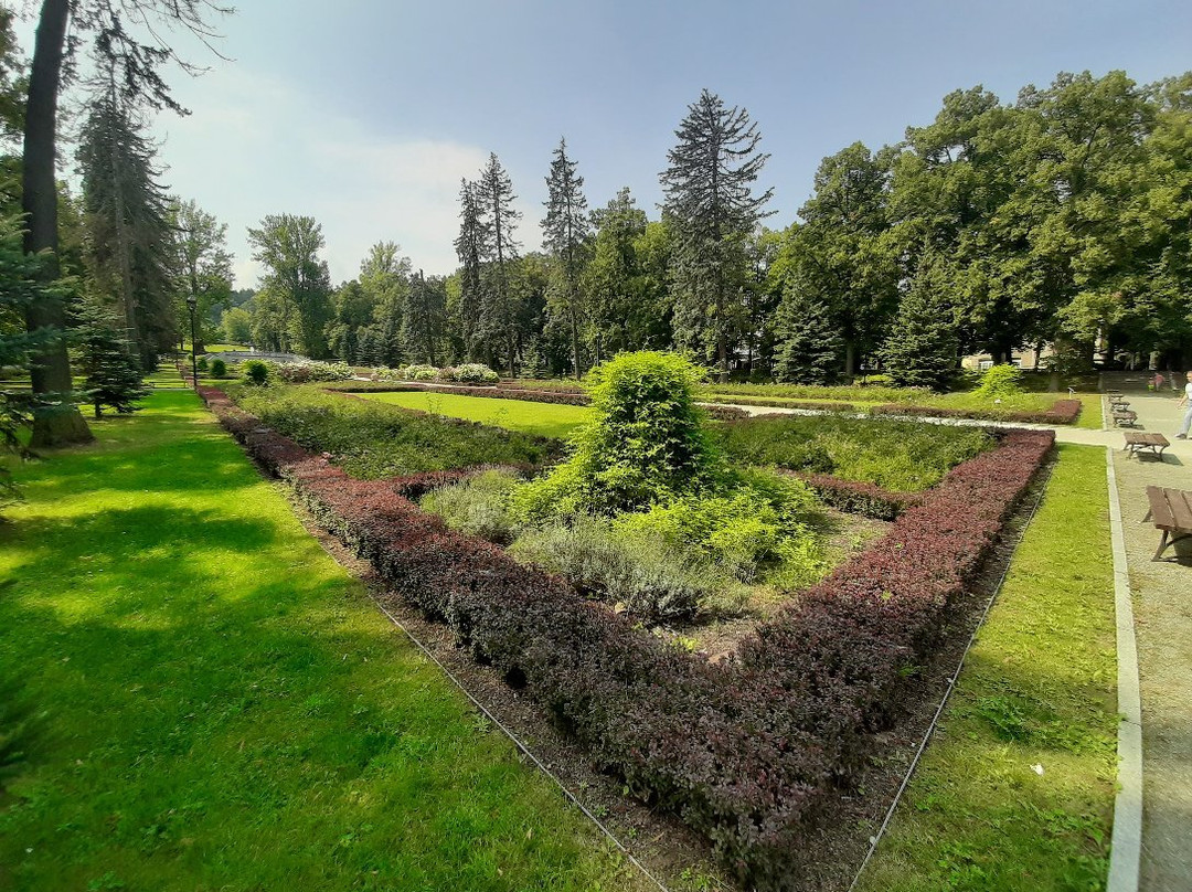 Chess Park景点图片