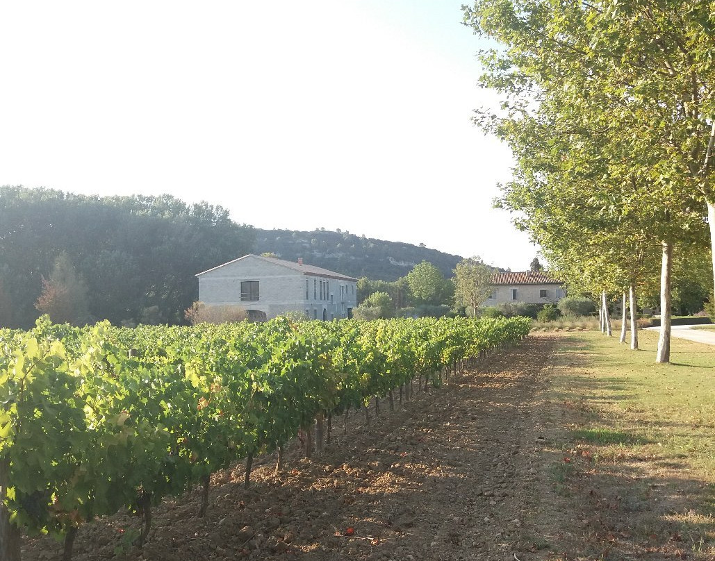 Domaine de Valdition景点图片