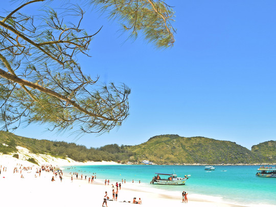 Embarcação Vida Marinha-阿拉伊阿尔港必去景点