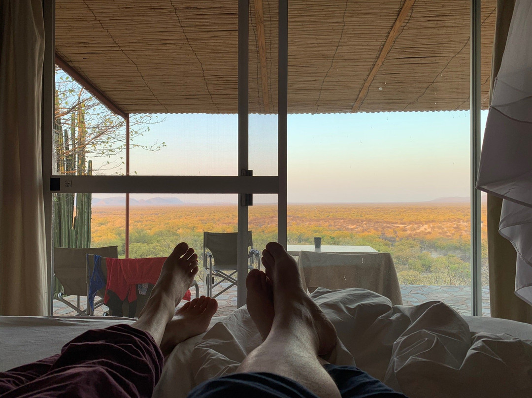 Bambatsi Guest Farm主图