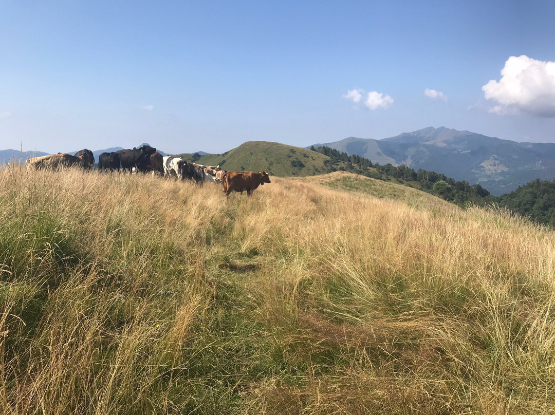 Agriturismo Alpe di Sala-Sala Comacina必去景点
