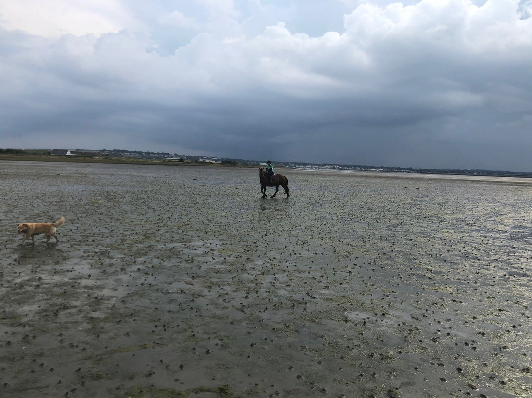 Corballis Farm Horse Trekking & Therapeutic Riding Centre-都柏林必去景点