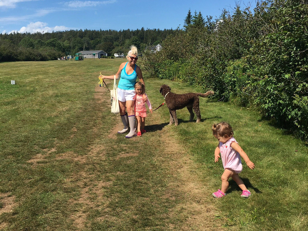 Anchorage Provincial Park-Grand Manan必去景点