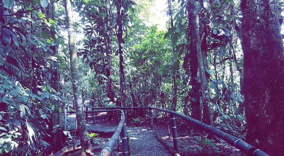 Parque Etnobotanico Omaere-Puyo必去景点