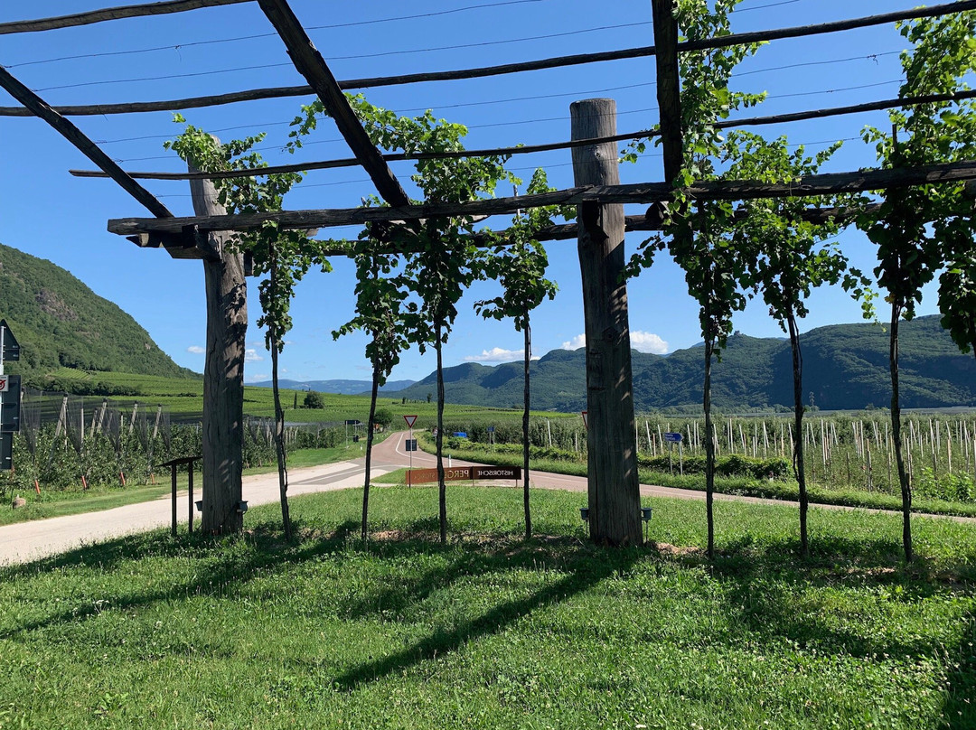 Hotel Seegarten主图