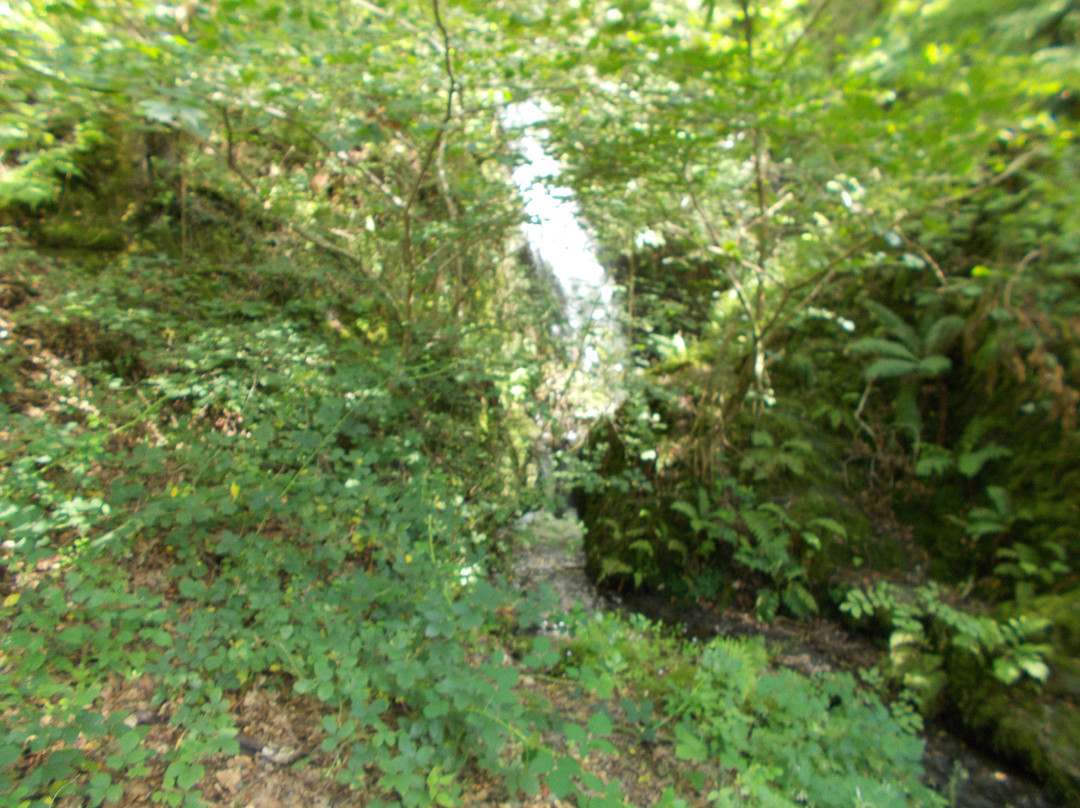 Panteinion Hall Guest House主图