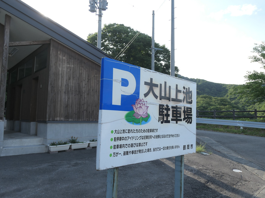 Oyama Kamiike Pond-鹤冈市必去景点