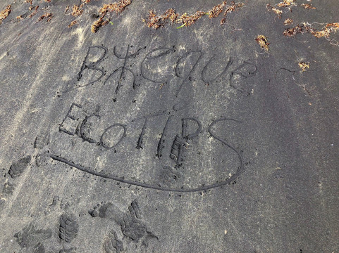 Bieque Eco Trips - Tours-维切克岛必去景点